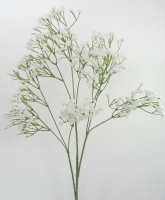 Schleierkraut 97cm weiss 120181-11